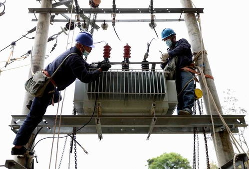 國網福安市供電公司 更換老舊綜配箱，筑牢漁民新村用電安全網